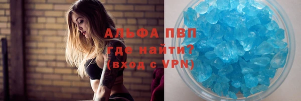 крисы Верхний Тагил
