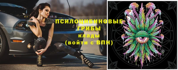 крисы Верхний Тагил