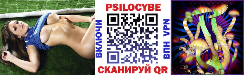 дарнет шоп  Городище  Псилоцибиновые грибы MAGIC MUSHROOMS 